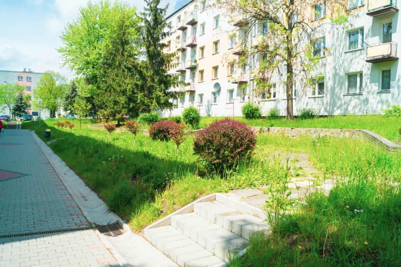 Alma Apartments סטאראצ'וביצה מראה חיצוני תמונה